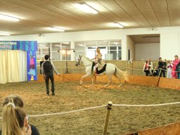 IMG_5264_web